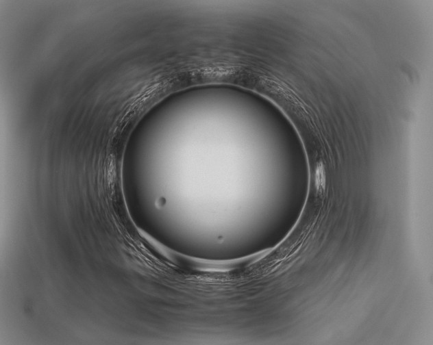 X0000113591299200909181323