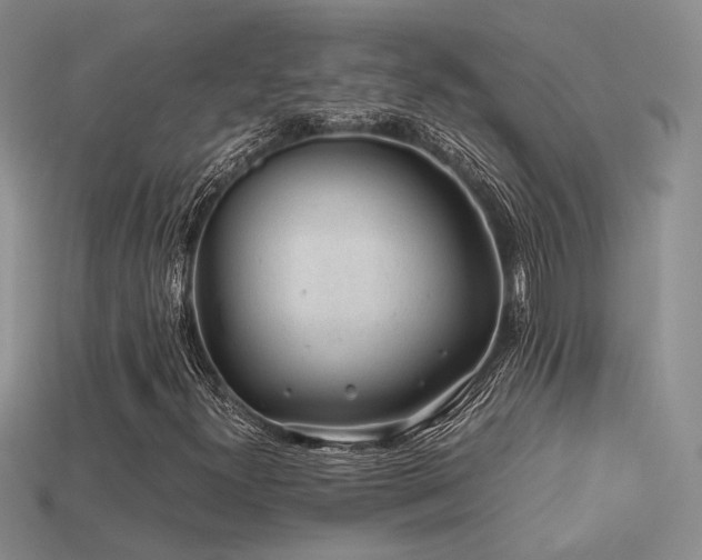 X0000113591300200909181323