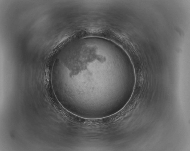 X0000113591301200909181323