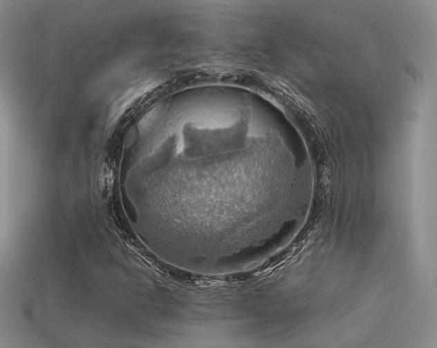 X0000113591302200909181323