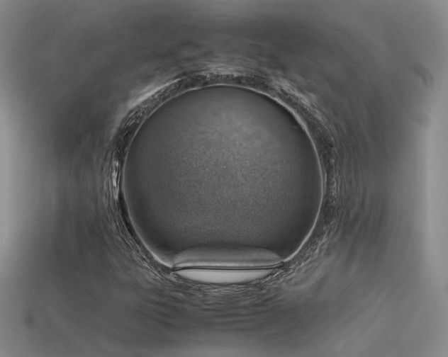 X0000113591303200909181323