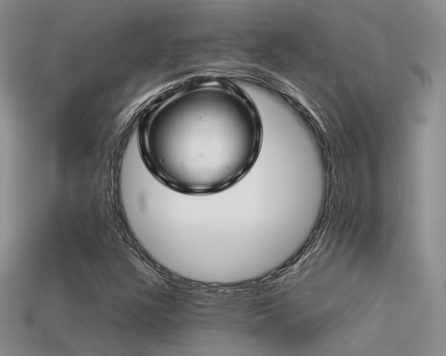 X0000113591304200909181323