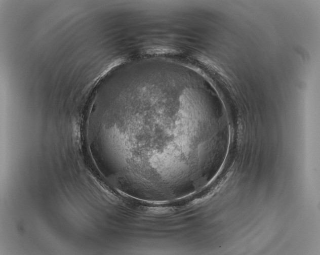 X0000113591305200909181323