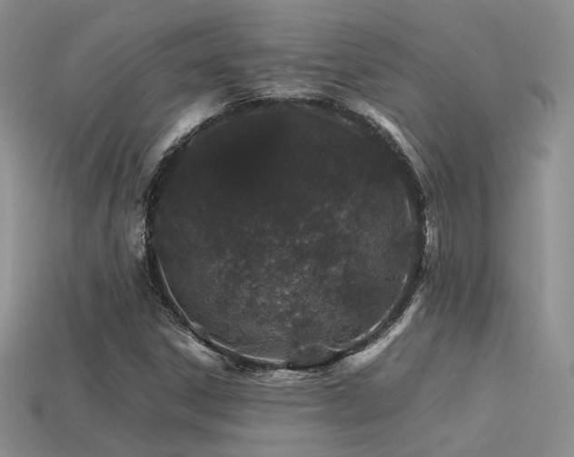 X0000113591306200909181323