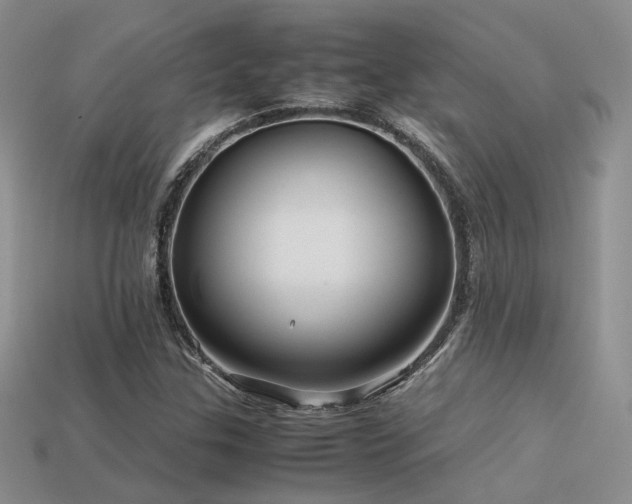 X0000113591307200909181323