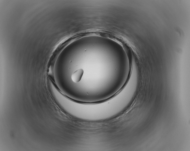 X0000113591308200909181323