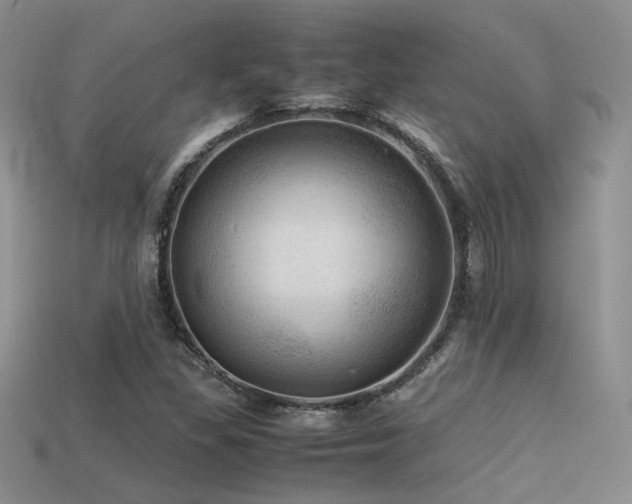 X0000113591309200909181323