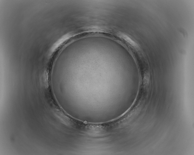 X0000113591310200909181323