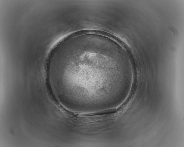 X0000113591311200909181323