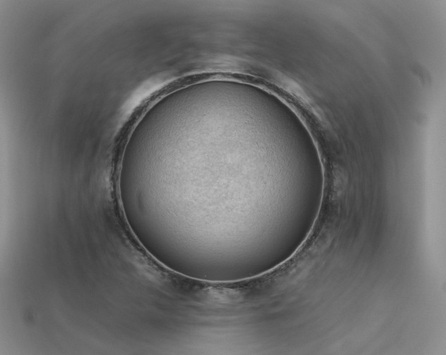 X0000113591312200909181323