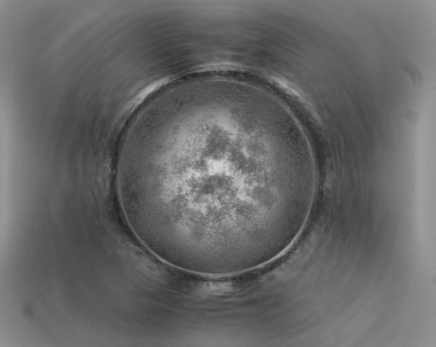 X0000113591313200909181323