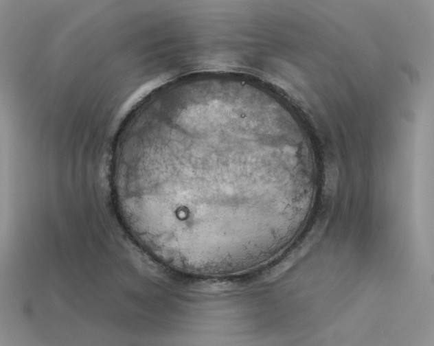 X0000113591314200909181323