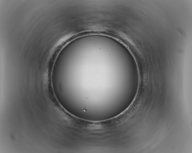 X0000113591315200909181323