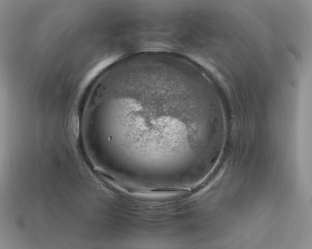 X0000113591317200909181323