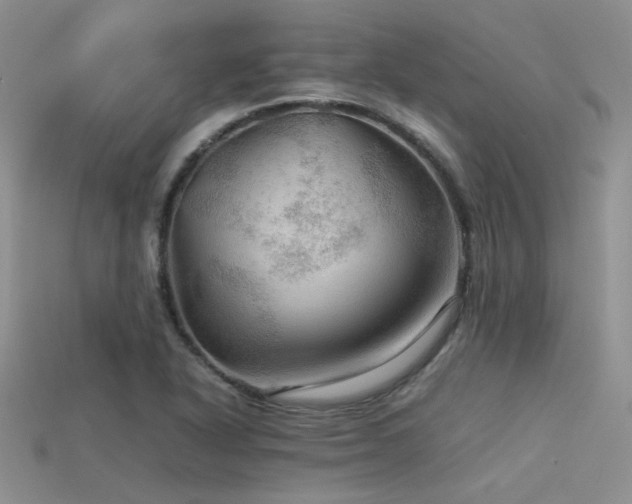 X0000113591318200909181323