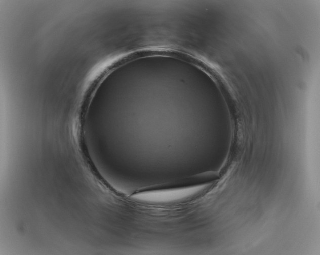 X0000113591319200909181323