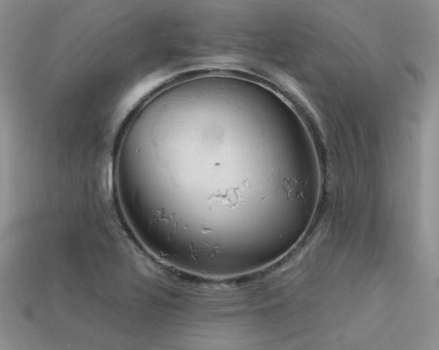 X0000113591320200909181323