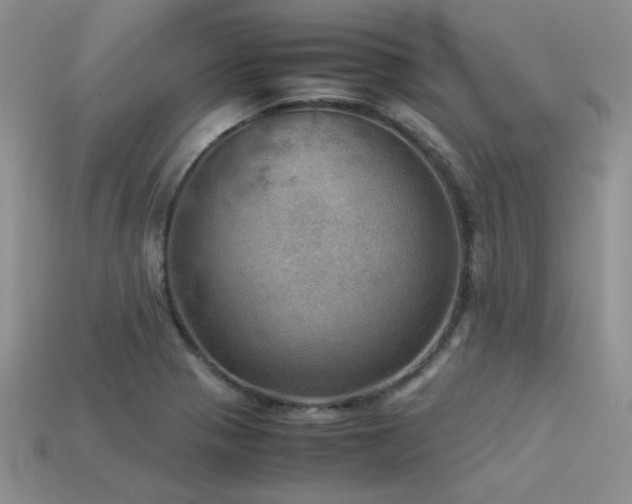 X0000113591321200909181323