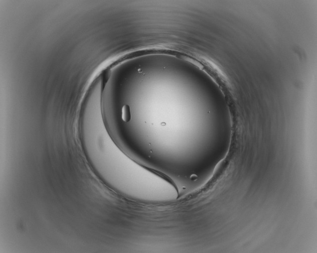 X0000113591324200909181323