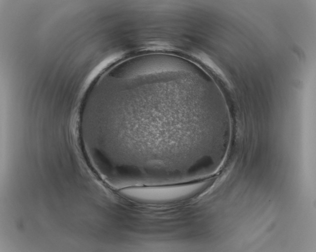 X0000113591325200909181323