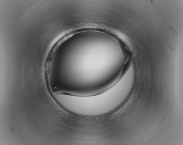 X0000113591326200909181323