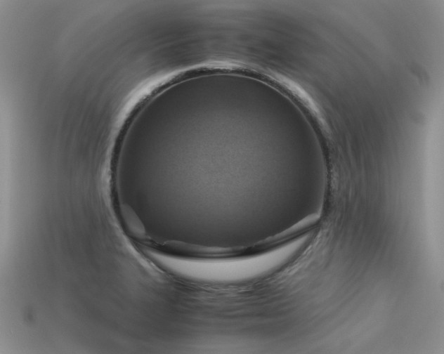 X0000113591327200909181323