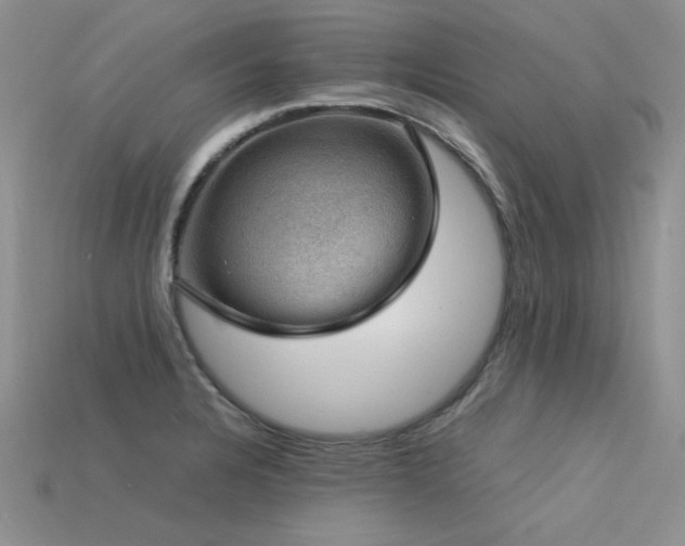 X0000113591328200909181323