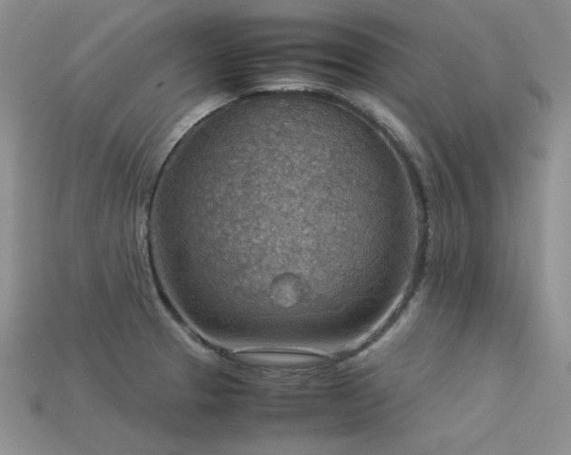 X0000113591329200909181323