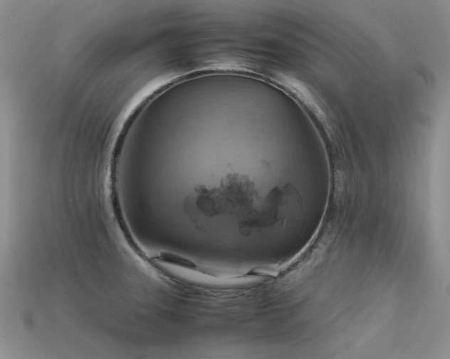 X0000113591331200909181323