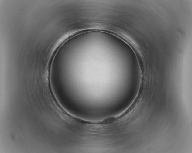 X0000113591332200909181323