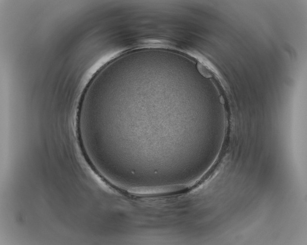 X0000113591333200909181323