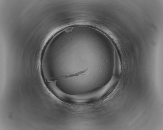 X0000113591334200909181323