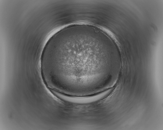 X0000113591335200909181323