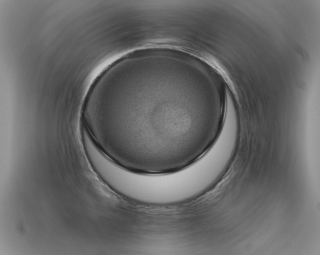 X0000113591336200909181323