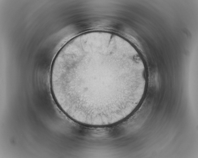 X0000113591338200909181323