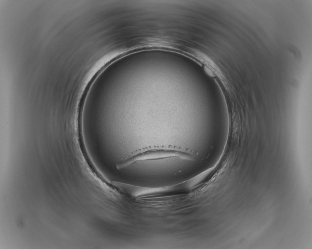 X0000113591339200909181323