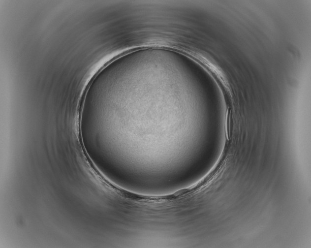 X0000113591340200909181323