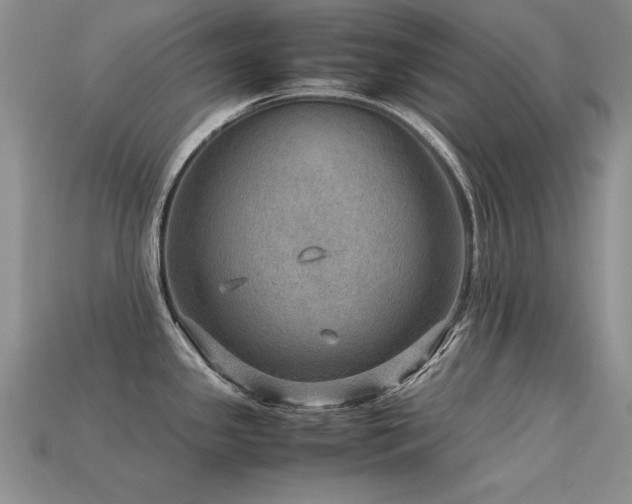 X0000113591341200909181323