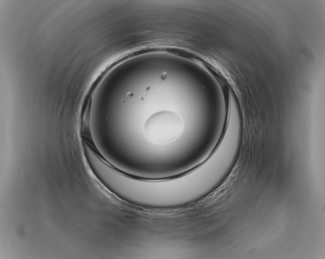 X0000113591342200909181324