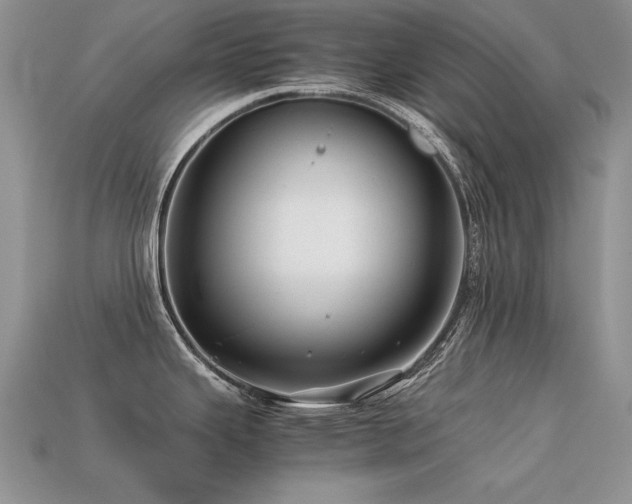 X0000113591343200909181324