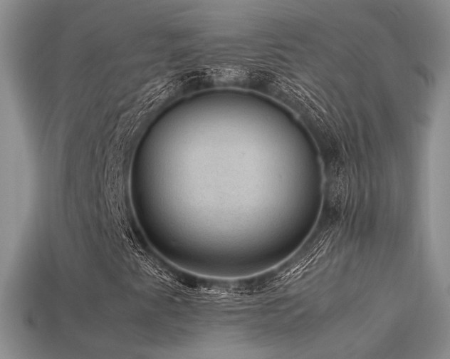 X0000113591345200909181323