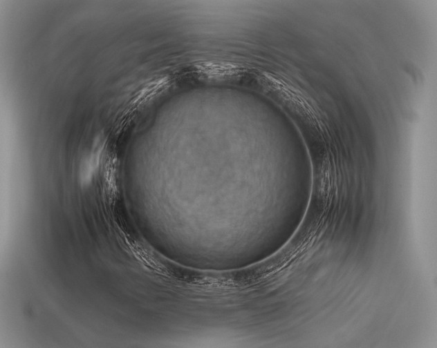 X0000113591346200909181323