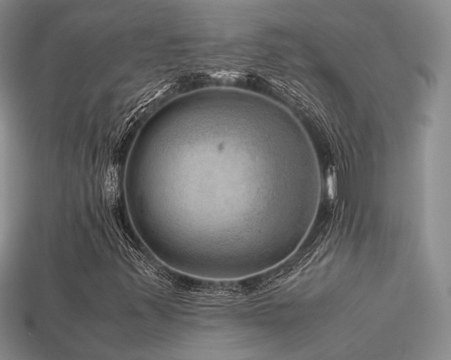 X0000113591347200909181323