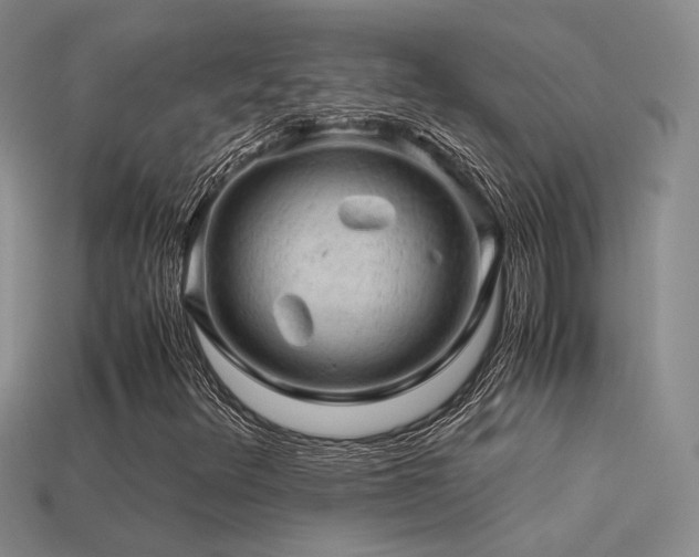 X0000113591348200909181323