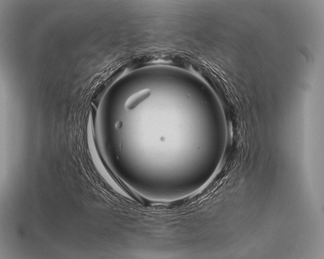 X0000113591349200909181323