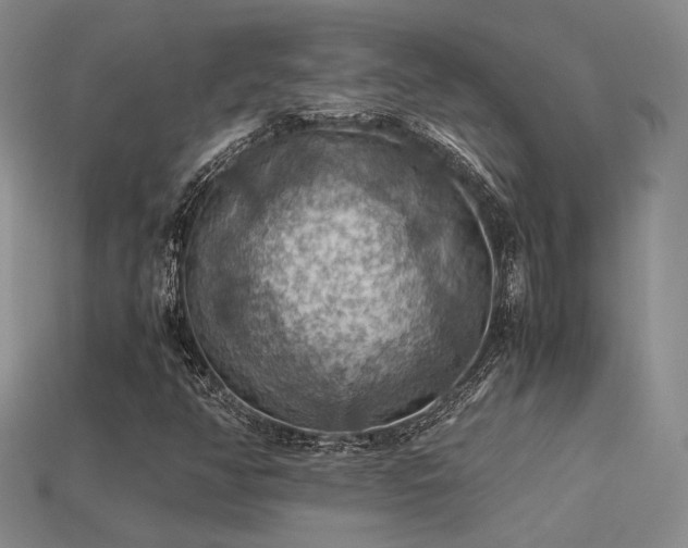 X0000113591350200909181323