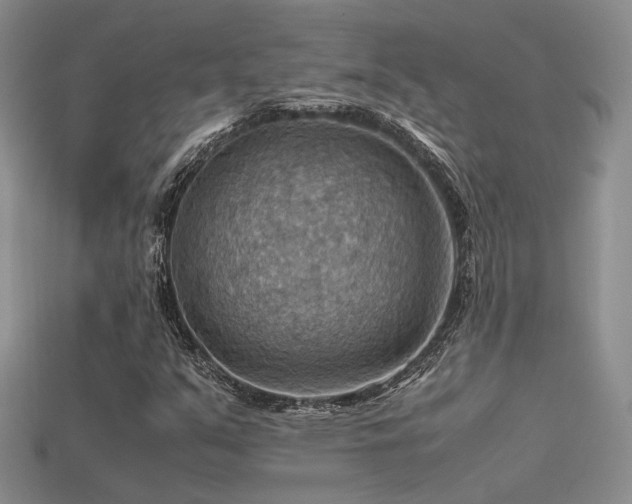 X0000113591351200909181323