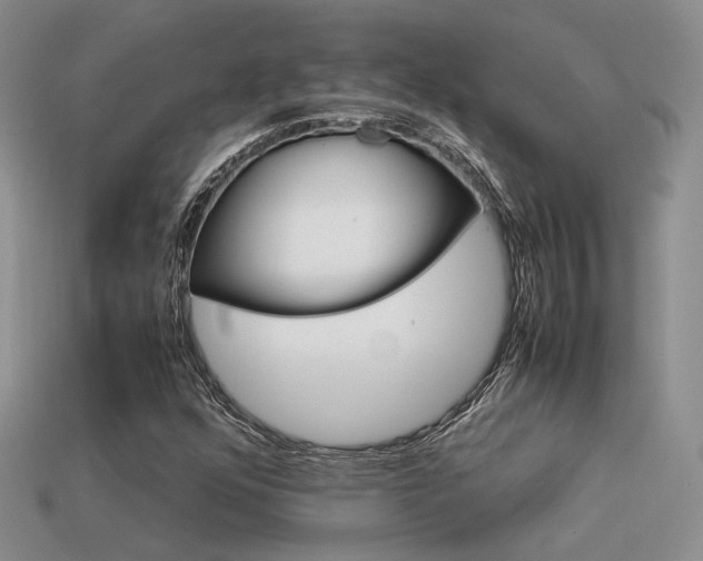 X0000113591352200909181323