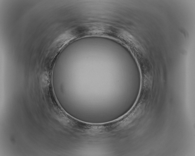 X0000113591353200909181323