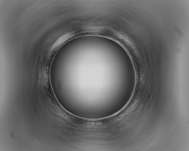 X0000113591354200909181323